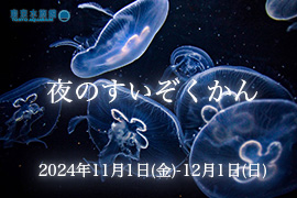 夜のすいぞくかん