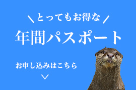 年間パスポート