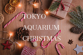 TOKYO AQUARIUM CHRISTMAS
