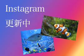 Instagram更新中